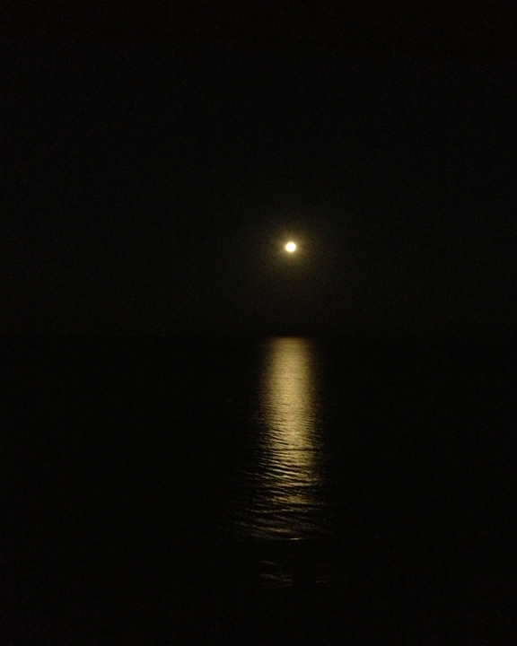 Light in the darkness ... moonset over the Gulf of Mexico Jan. 27, 2013